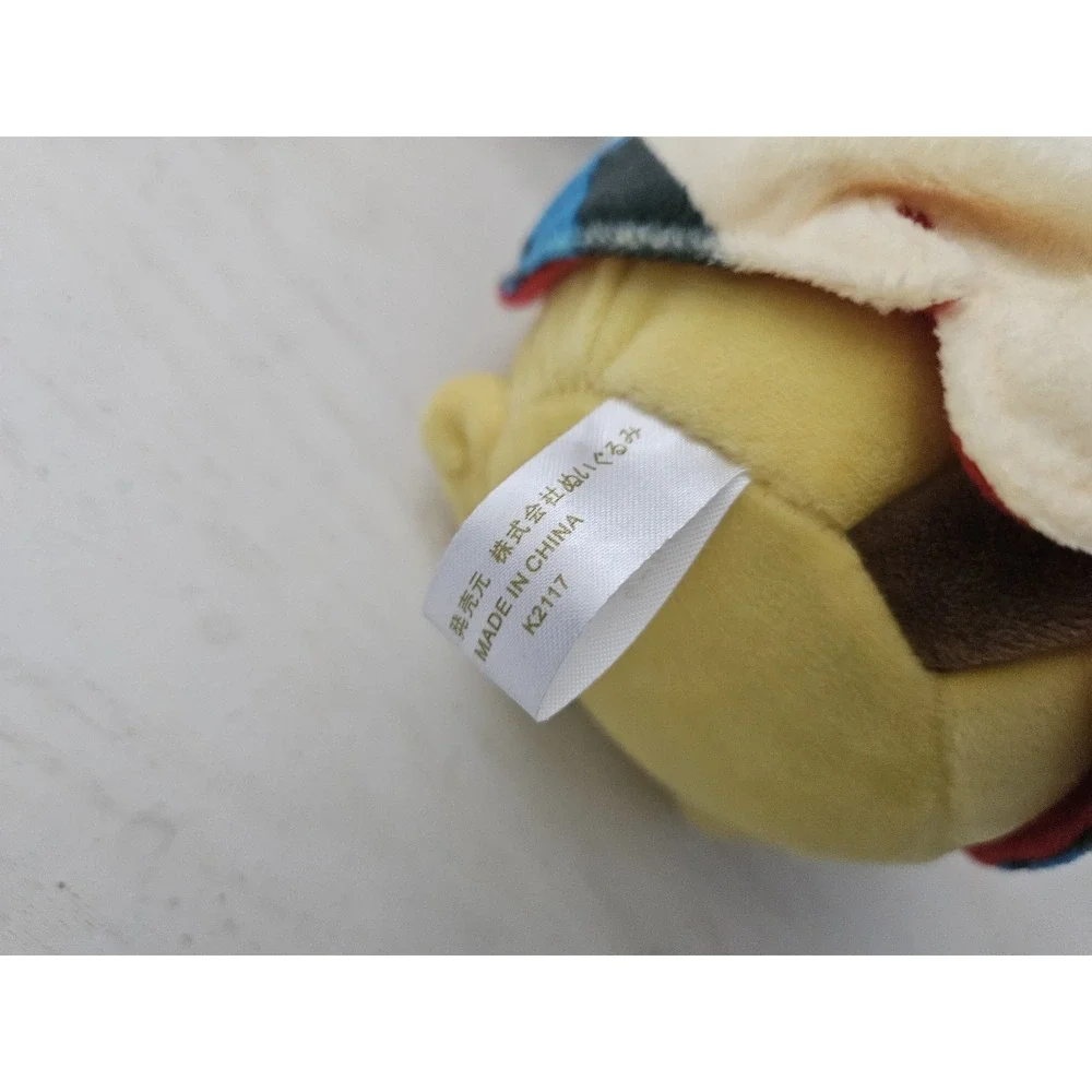 Mega Lucario Poncho outfit Pikachu 9